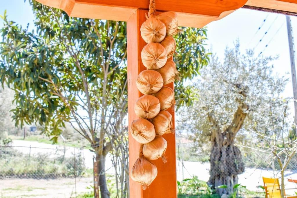 Hut House εξοχικό στην παραλία μ. άμμος * Skiathos Town